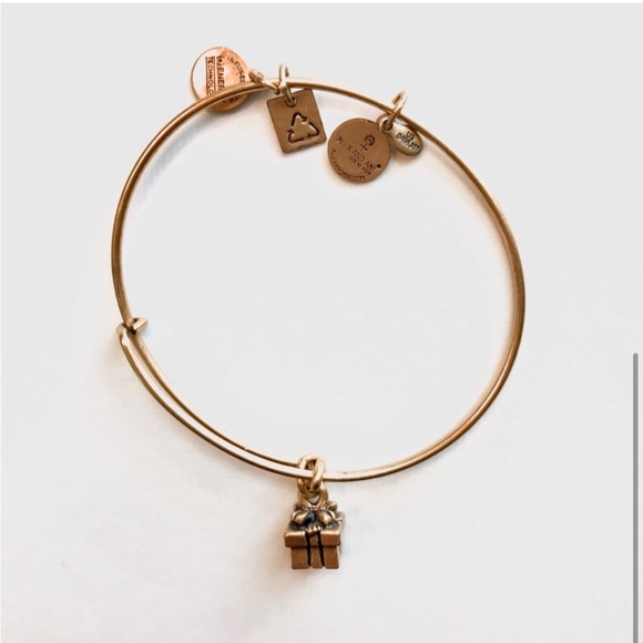 Alex and Ani Present Charm Bracelet - Picture 3 of 3